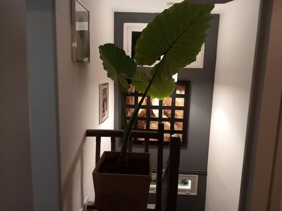 Maison Cosy - 4 Chambres Doubles Μπερζεράκ Εξωτερικό φωτογραφία